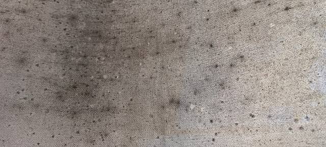 Cómo Quitar Manchas de Cortinas Roller