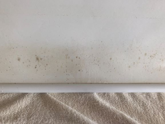 Lavado de Cortinas Roller con Hongos y cómo identificar el problema a tiempo